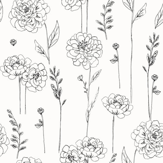 York Wallcoverings RoomMates Maisey Black Peel and Stick Wallpaper Country Botanical Whites and Off-Whites  Wallpaper - RMK12687PLW