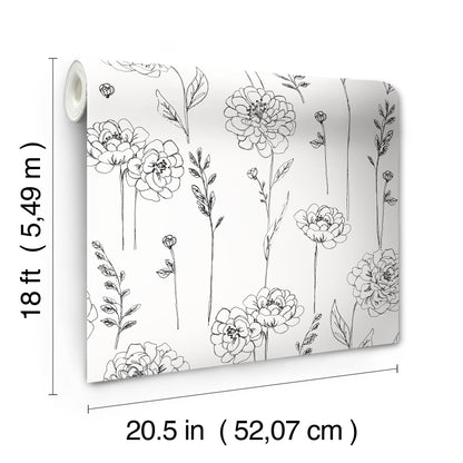 York Wallcoverings RoomMates Maisey Black Peel and Stick Wallpaper Country Botanical Whites and Off-Whites  Wallpaper - RMK12687PLW