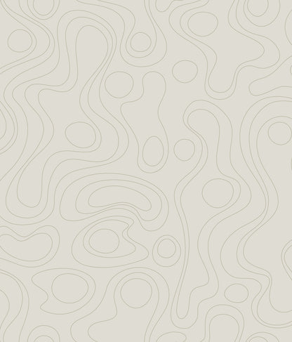 York Wallcoverings RoomMates Lineation Beige Peel and Stick Wallpaper Modern Graphics Neutrals  Wallpaper - RMK12736PLW