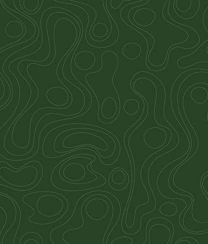 York Wallcoverings RoomMates Lineation Green Peel and Stick Wallpaper Modern Graphics Greens  Wallpaper - RMK12737PLW