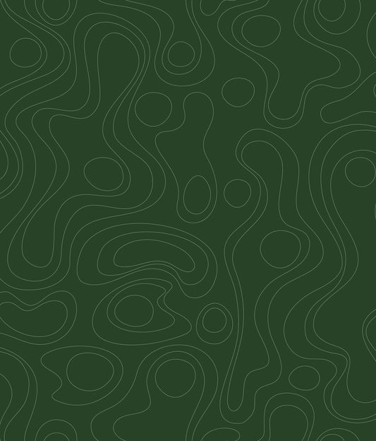 York Wallcoverings RoomMates Lineation Green Peel and Stick Wallpaper Modern Graphics Greens  Wallpaper - RMK12737PLW