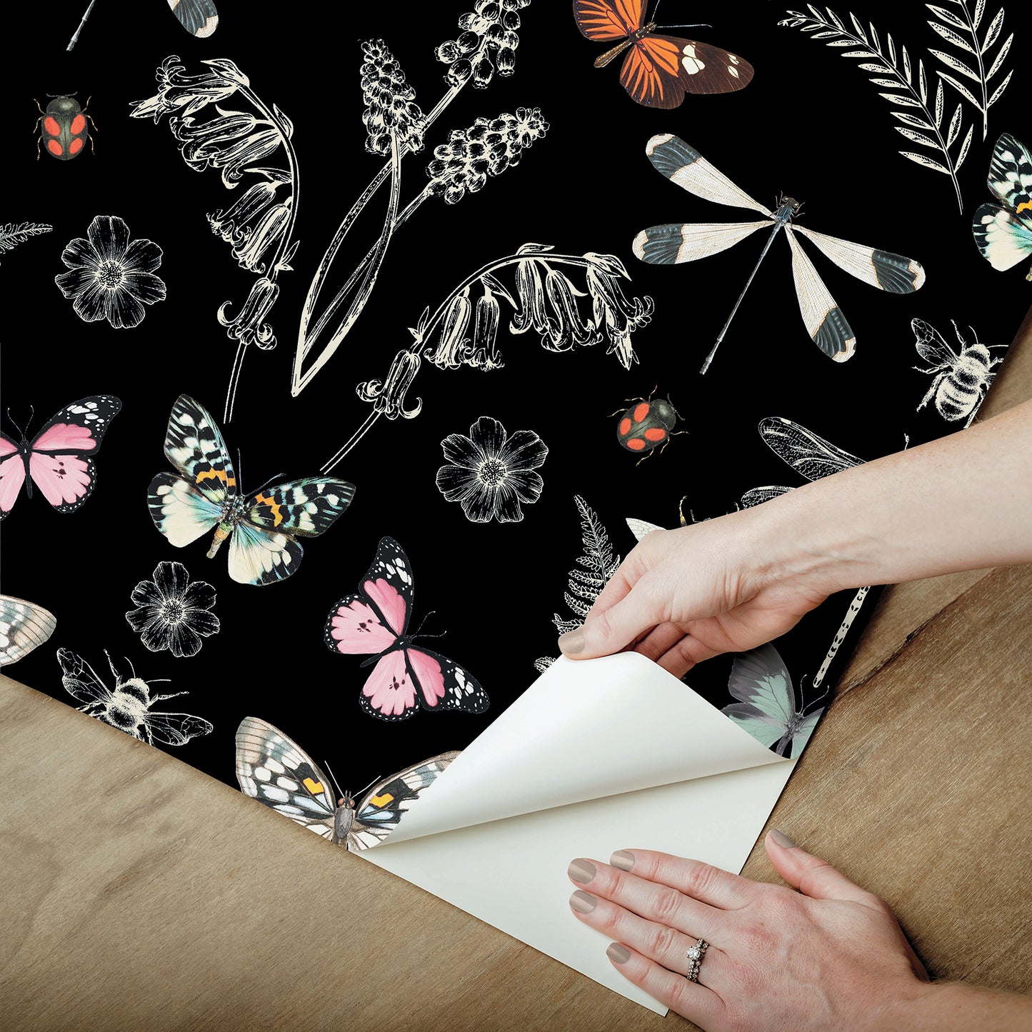 York Wallcoverings RoomMates Hidden Treasures Black Peel and Stick Wallpaper Bohemian Animals Blacks  Wallpaper - RMK12749PLW