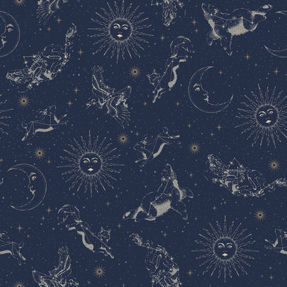 York Wallcoverings RoomMates Zodiac Dreams Navy Peel and Stick Wallpaper Modern Outer Space Blues  Wallpaper - RMK12753PLW