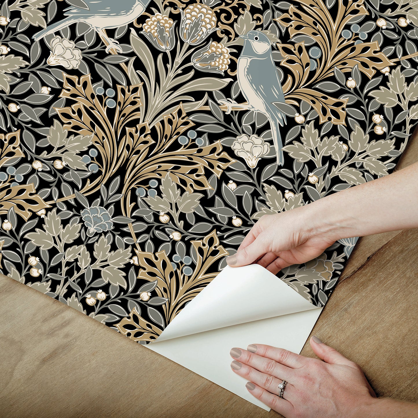 York Wallcoverings RoomMates Garden Aviary Black Peel and Stick Wallpaper Traditional Animal Print Blacks  Wallpaper - RMK12756PLW