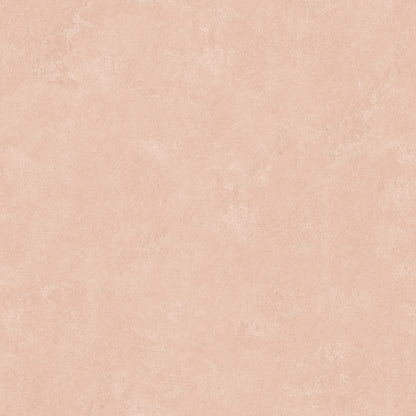 York Wallcoverings RoomMates Daphne Potter's Clay Peach Limewash Peel and Stick Wallpaper Modern Graphics Pinks  Wallpaper - RMK12766PLW