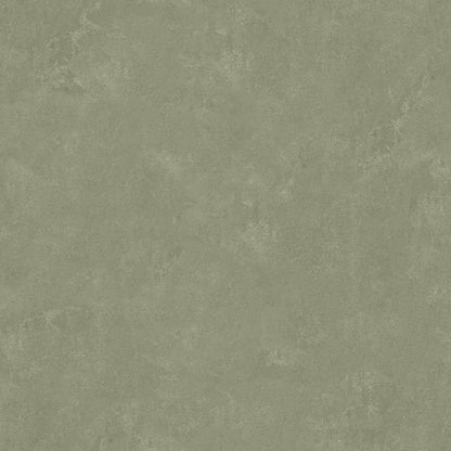 York Wallcoverings RoomMates Daphne Olive Green Limewash Peel and Stick Wallpaper Modern Graphics Greens  Wallpaper - RMK12767PLW