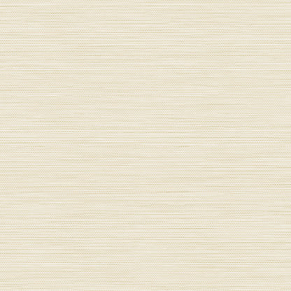 York Wallcoverings RoomMates Stella Cream Grasscloth Peel and Stick Wallpaper Traditional Graphics Whites and Off-Whites  Wallpaper - RMK12775PL