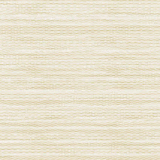 York Wallcoverings RoomMates Stella Cream Grasscloth Peel and Stick Wallpaper Traditional Graphics Whites and Off-Whites  Wallpaper - RMK12775PL