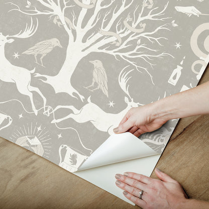 York Wallcoverings RoomMates Harry Potter Horcrux Grey Damask Peel and Stick Wallpaper Modern Trees Greys  Wallpaper - RMK12782PLW