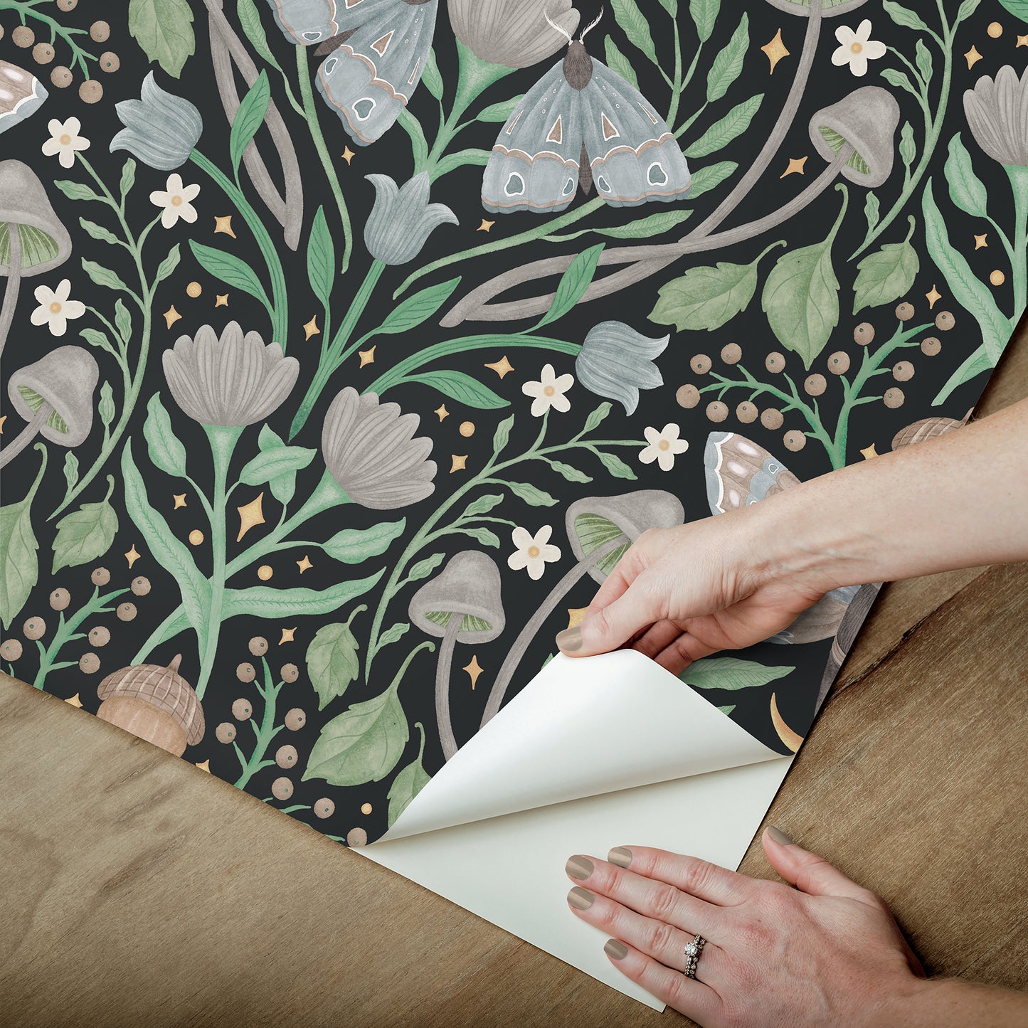 York Wallcoverings RoomMates Enchanted Forest Damask Black Peel and Stick Wallpaper Bohemian Botanical Blacks  Wallpaper - RMK12785PLW