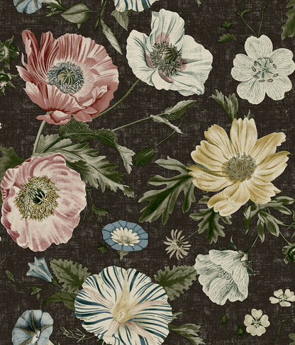 Black wallpaper featuring a vintage poppy floral pattern in pink, cream, yellow, blue and green.