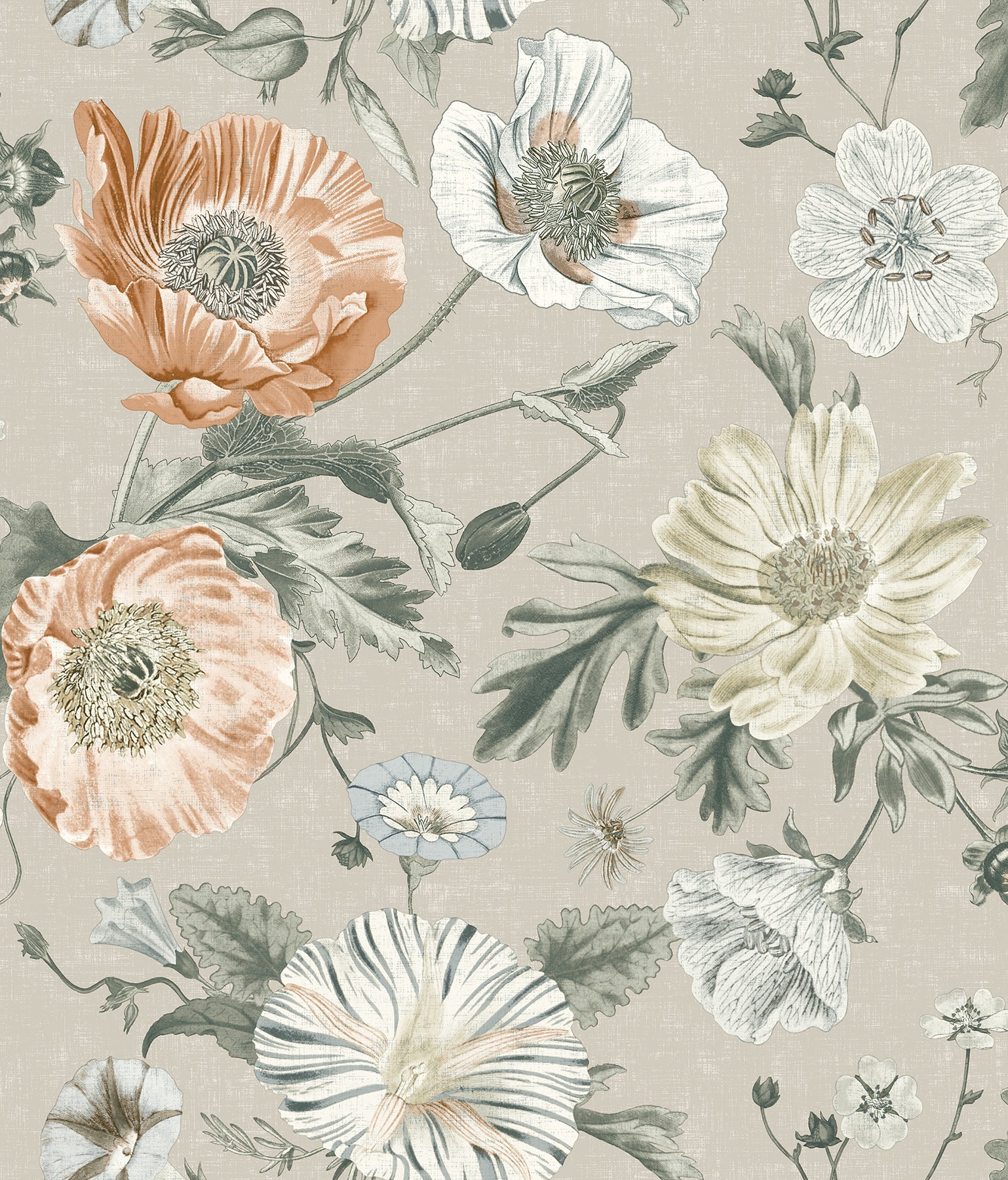 Beige floral wallpaper featuring large peach & cream poppies, pale blue blossoms & gray-green stems; vintage botanical print.