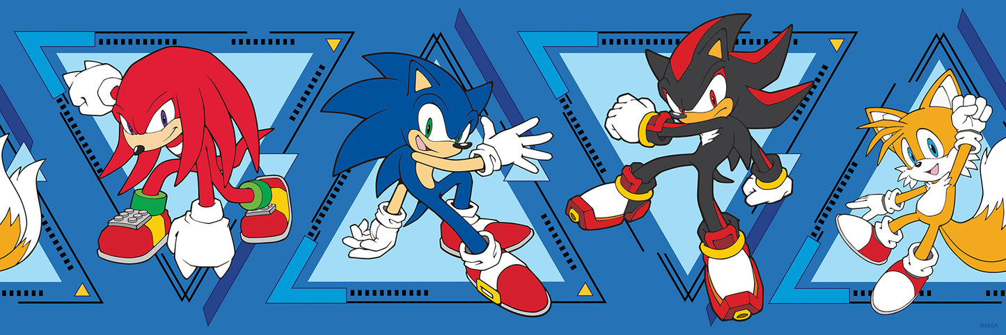 York Wallcoverings RoomMates Sonic The Hedgehog Team Sonic Border Decal Graphics Kids Blue  Current Peel & Stick - RMK1337BD