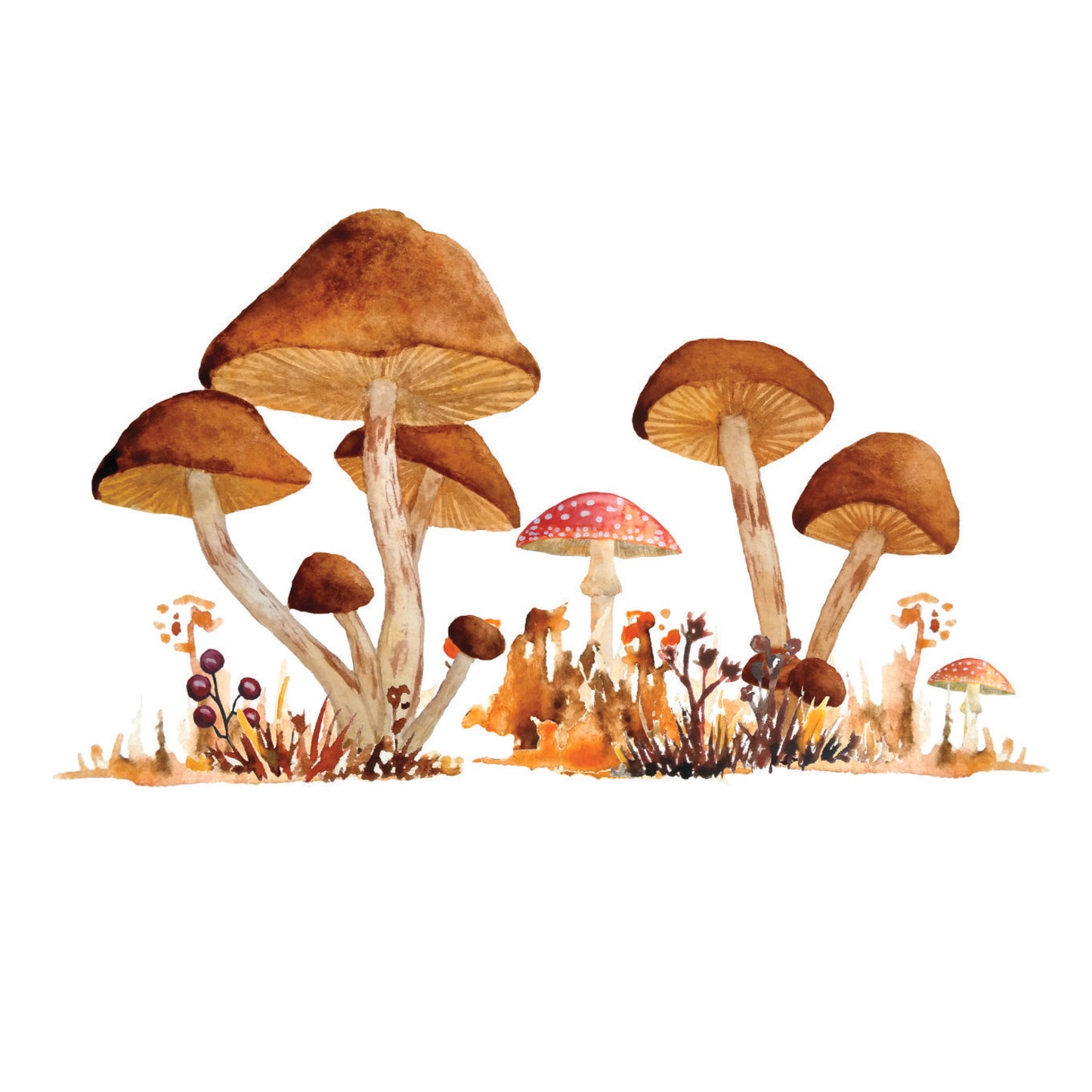 York Wallcoverings RoomMates Mushroom Giant XL Giant Wall Decals Modern Nature Browns  Wallpaper - RMK4411TBM
