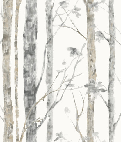 Watercolor birch trees in brown on white; delicate branches pattern for wallpaper.