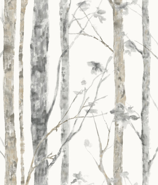 York Wallcoverings RoomMates Birch Trees Brown Peel and Stick Wallpaper Photographic Botanical Browns  Wallpaper - RMK9047WP
