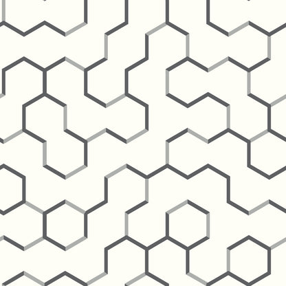 York Wallcoverings RoomMates Open Geometric Black Peel and Stick Wallpaper Modern Global Blacks  Wallpaper - RMK9091WP