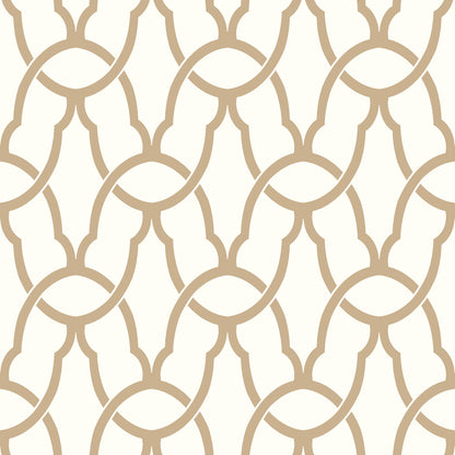York Wallcoverings RoomMates Trellis Gold Peel and Stick Wallpaper Modern Global Yellows  Wallpaper - RMK9121WP