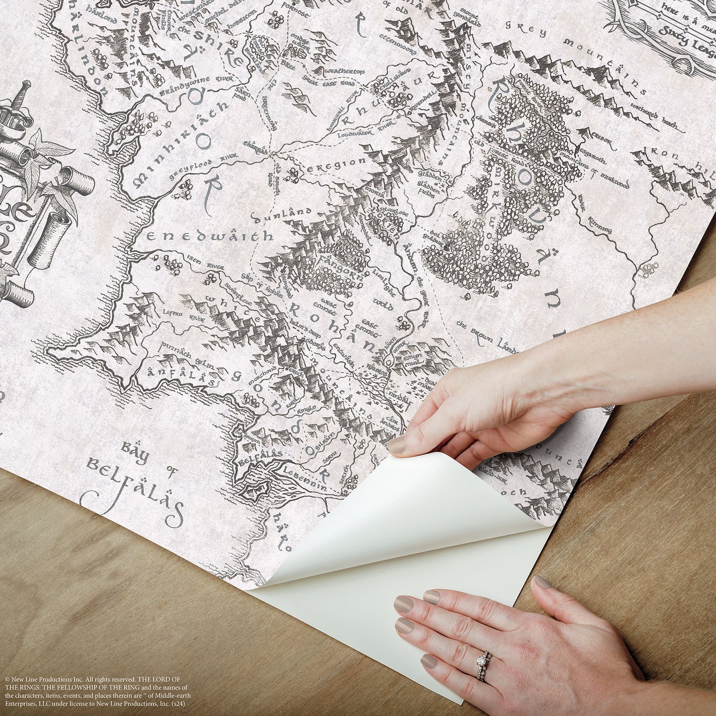 York Wallcoverings RoomMates Lord of the Rings Black and White Middle Earth Map Peel and Stick Wallpaper Vintage Graphics Whites and Off-Whites  Wallpaper - RMWS1232
