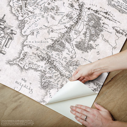 York Wallcoverings RoomMates Lord of the Rings Black and White Middle Earth Map Peel and Stick Wallpaper Vintage Graphics Whites and Off-Whites  Wallpaper - RMWS1232