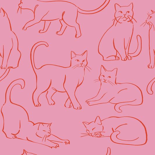 York Wallcoverings RoomMates Cat Poses Pink Peel and Stick Wallpaper Whimsical Animals Pinks  Wallpaper - RMWS1277