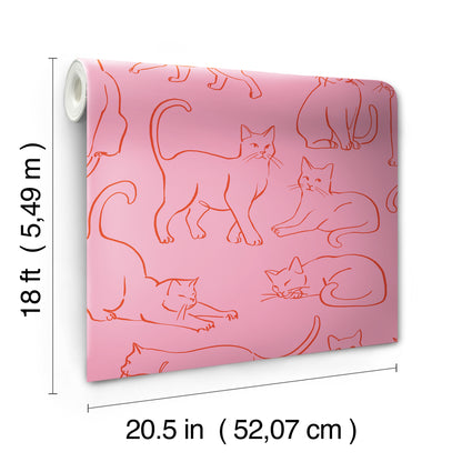 York Wallcoverings RoomMates Cat Poses Pink Peel and Stick Wallpaper Whimsical Animals Pinks  Wallpaper - RMWS1277