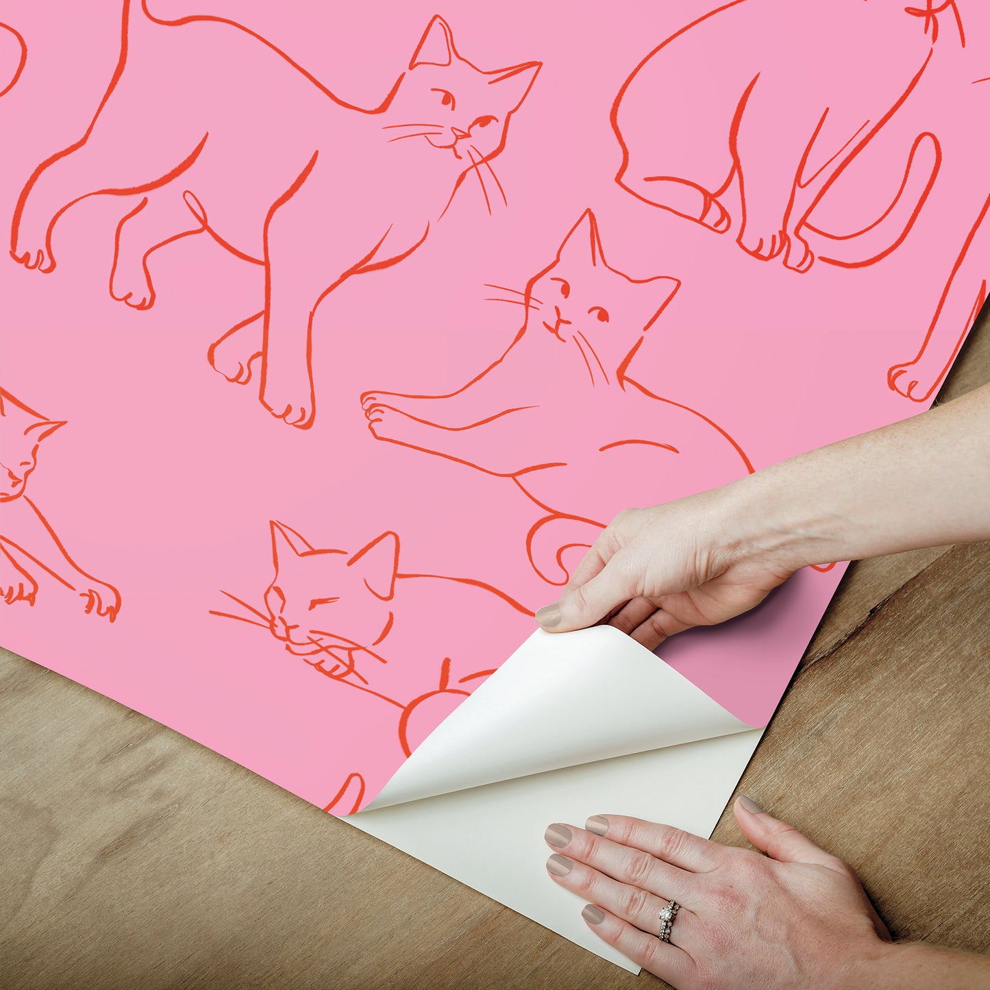 York Wallcoverings RoomMates Cat Poses Pink Peel and Stick Wallpaper Whimsical Animals Pinks  Wallpaper - RMWS1277
