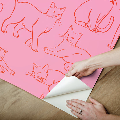York Wallcoverings RoomMates Cat Poses Pink Peel and Stick Wallpaper Whimsical Animals Pinks  Wallpaper - RMWS1277