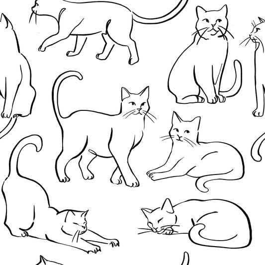 York Wallcoverings RoomMates Cat Poses Black and White Peel and Stick Wallpaper Whimsical Animals Whites and Off-Whites  Wallpaper - RMWS1278