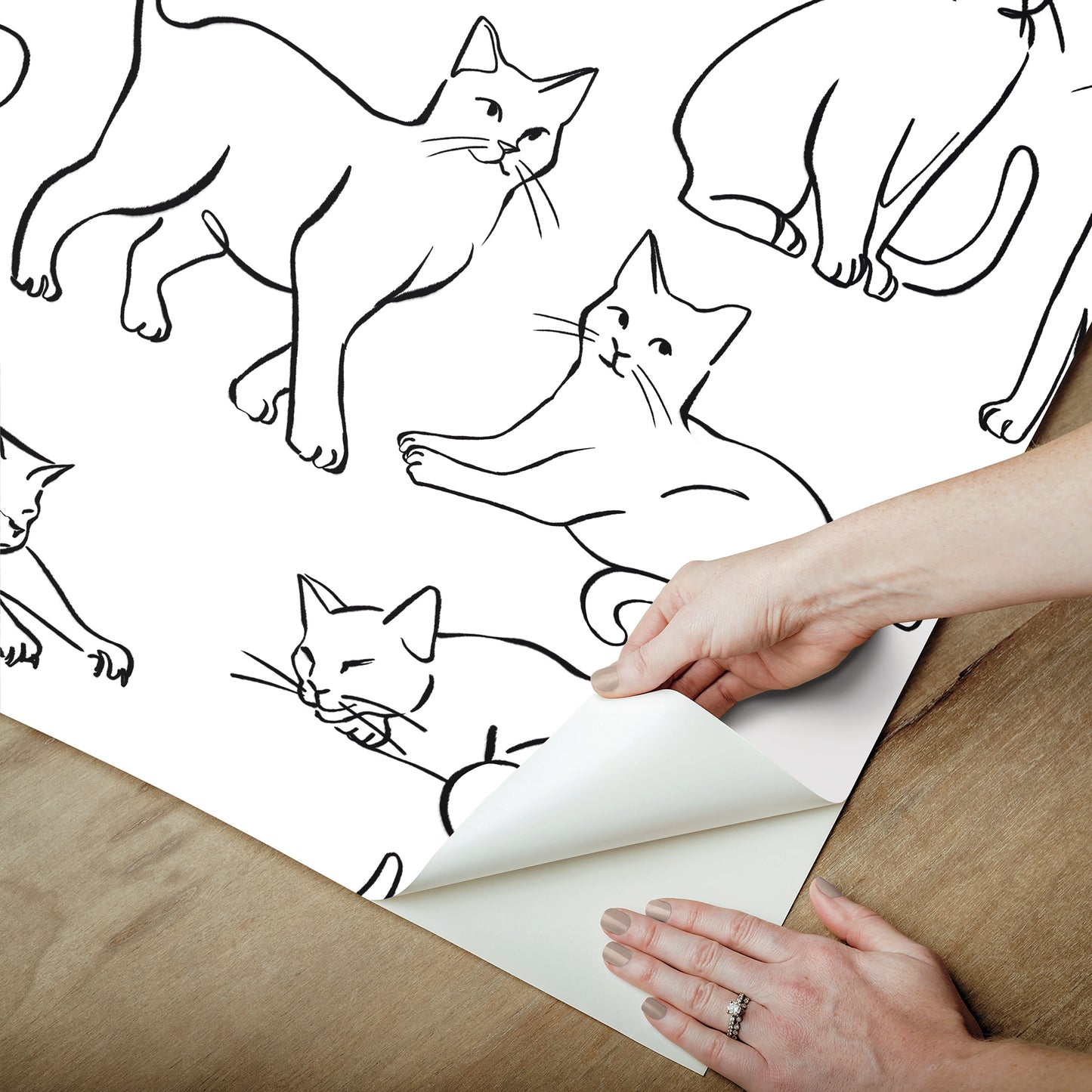 York Wallcoverings RoomMates Cat Poses Black and White Peel and Stick Wallpaper Whimsical Animals Whites and Off-Whites  Wallpaper - RMWS1278