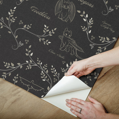 York Wallcoverings RoomMates How to Train Your Dragon Toothless Radical Nature Black Peel and Stick Wallpaper Whimsical Graphics Blacks  Wallpaper - RMWS1298