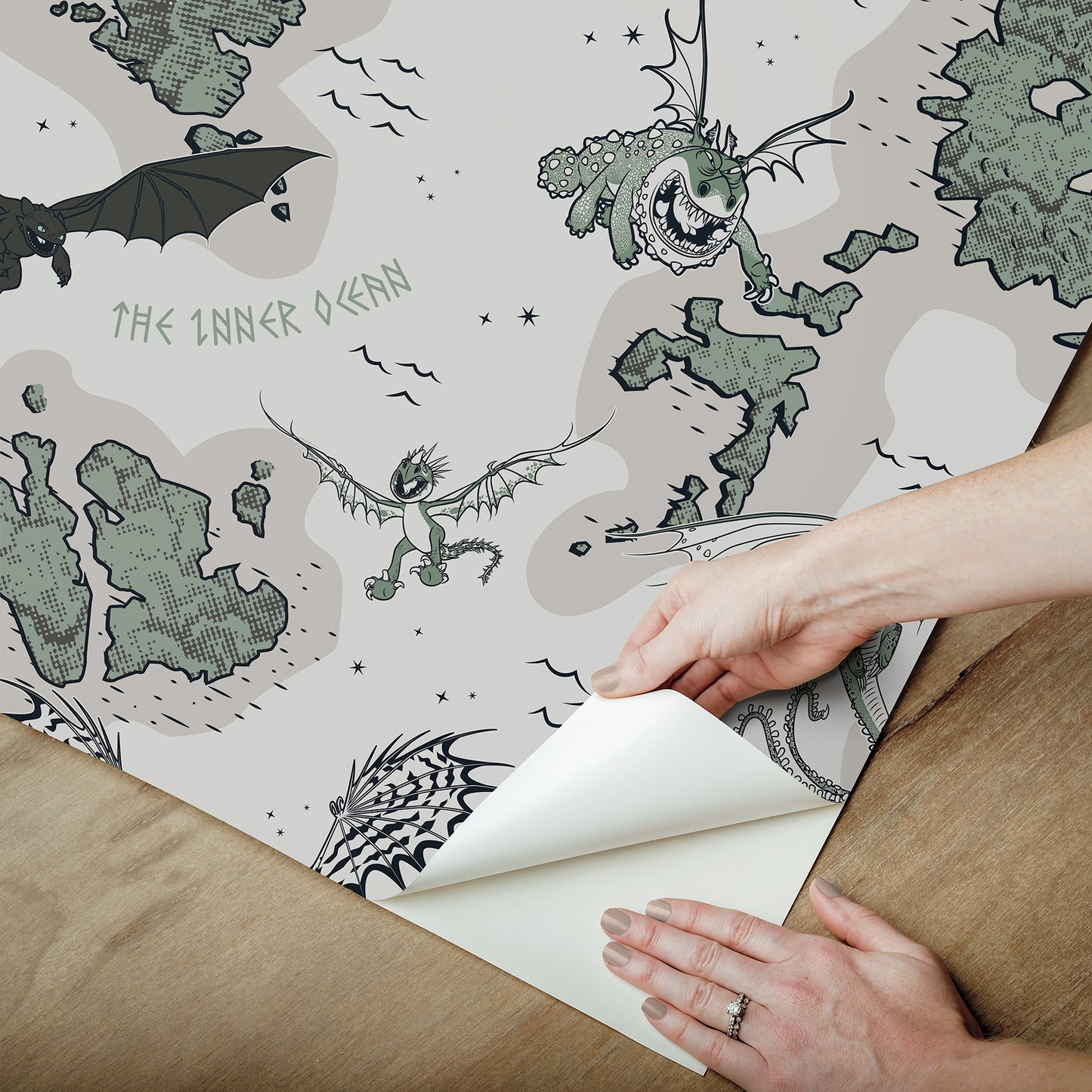 York Wallcoverings RoomMates How to Train Your Dragon Isle of Berk Grey Peel and Stick Wallpaper Whimsical Graphics Greys  Wallpaper - RMWS1301