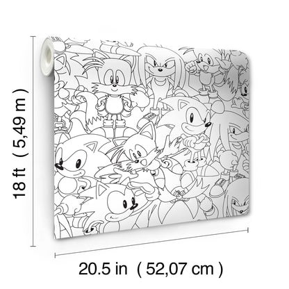 York Wallcoverings RoomMates Sonic The Hedgehog Line Art Peel and Stick Wallpaper Graphics Kids Black and White?  Current Peel & Stick - RMWS1331
