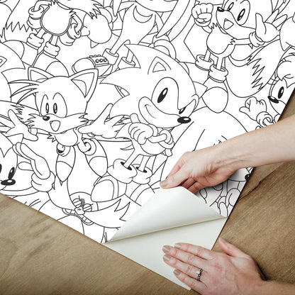 York Wallcoverings RoomMates Sonic The Hedgehog Line Art Peel and Stick Wallpaper Graphics Kids Black and White?  Current Peel & Stick - RMWS1331