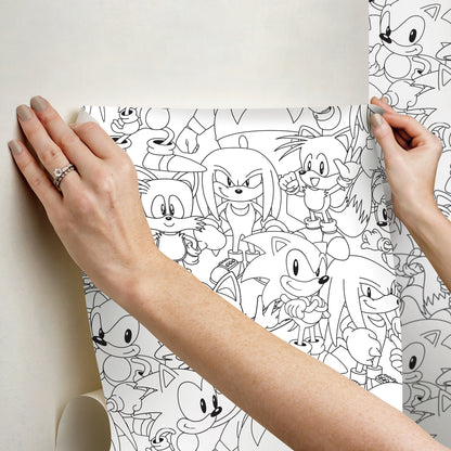 York Wallcoverings RoomMates Sonic The Hedgehog Line Art Peel and Stick Wallpaper Graphics Kids Black and White?  Current Peel & Stick - RMWS1331