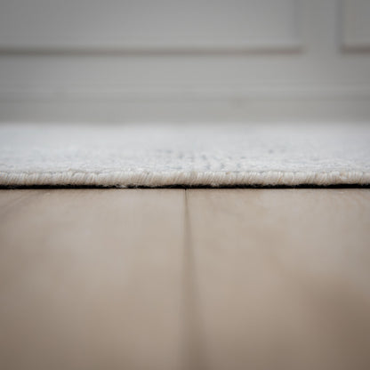 Radiance transitional rug, 8' x 10'.