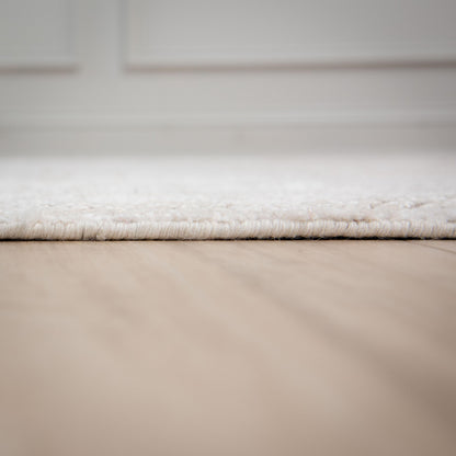 2' x 3' rug