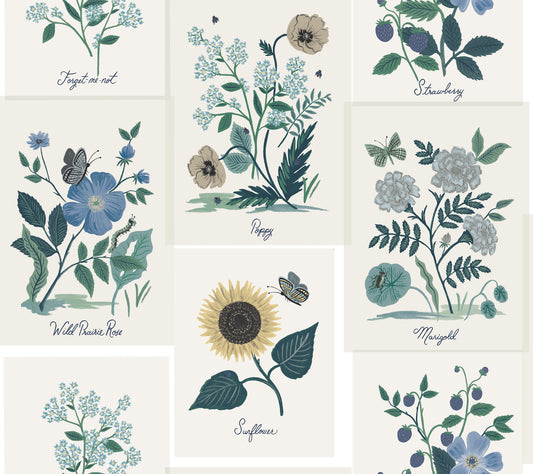 York Wallcoverings Rifle Paper Co. Second Edition Botanical Prints White and Blue Wallpaper  Florals and Flowers Whites and Off-Whites   - RP7335