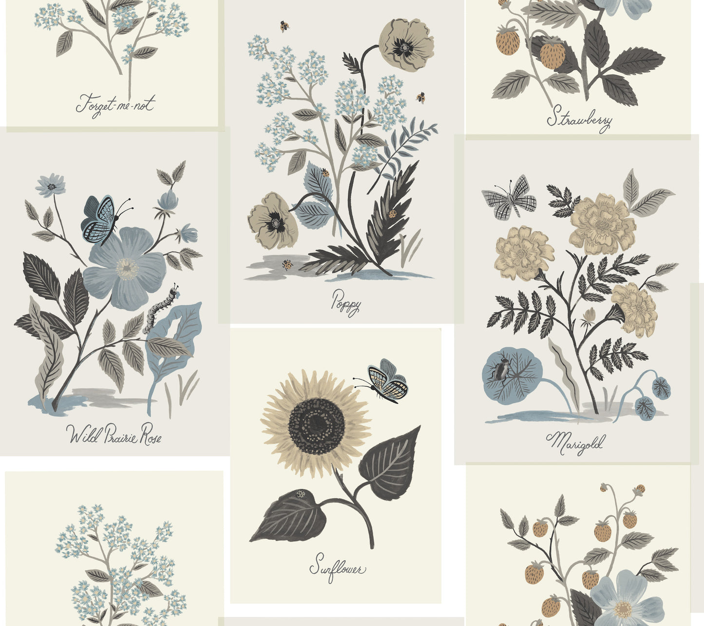 York Wallcoverings Rifle Paper Co. Second Edition Botanical Prints Beige and Black Wallpaper  Florals and Flowers Blacks   - RP7336