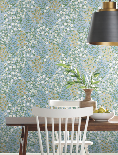 York Wallcoverings Rifle Paper Co. Second Edition Wildwood Garden Blue and White Wallpaper  Florals and Flowers Whites and Off-Whites   - RP7379