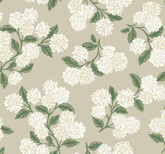 York Wallcoverings Rifle Paper Co. 3rd Edition Hydrangea Beige Wallpaper  Florals and Flowers Neutrals   - RP7394