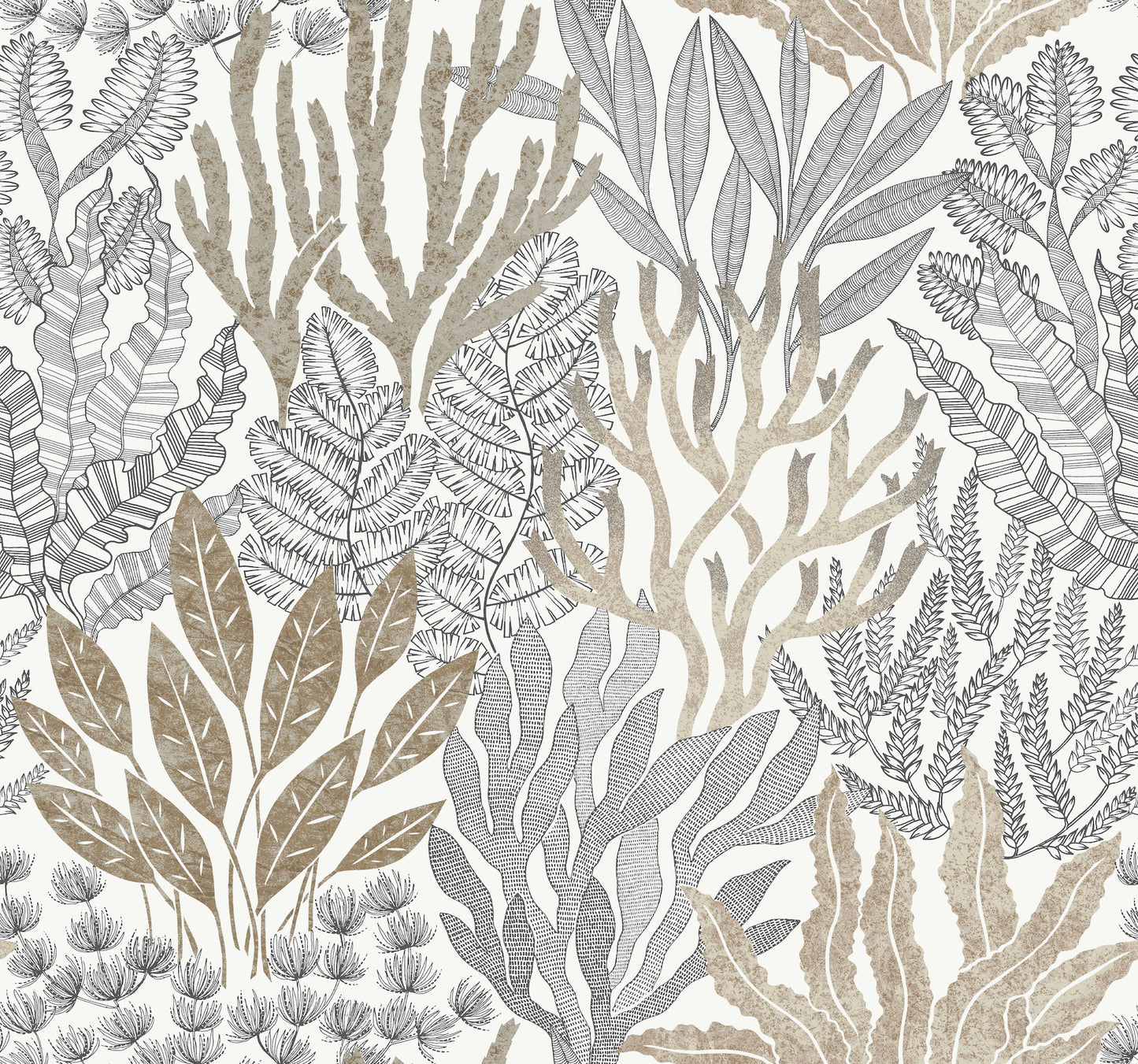York Wallcoverings Toile Resource Library Coral Leaves Taupe and Black Wallpaper Modern Toile Beiges   - RT7802