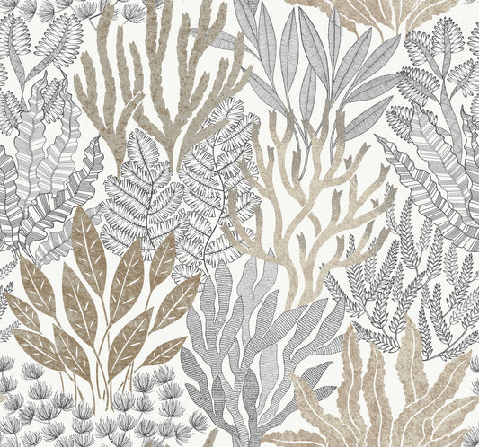 York Wallcoverings Toile Resource Library Coral Leaves Taupe and Black Wallpaper Modern Toile Beiges   - RT7802
