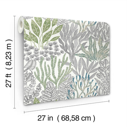 York Wallcoverings Toile Resource Library Coral Leaves Blue and Green Wallpaper Modern Toile Greens   - RT7803