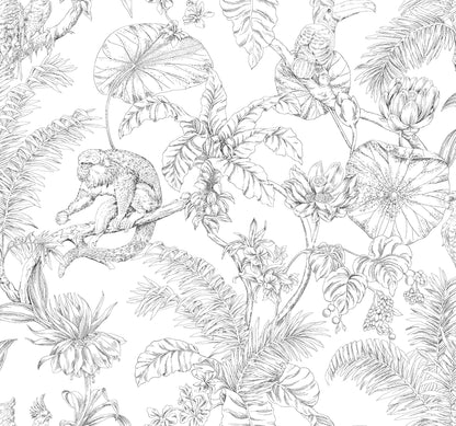 York Wallcoverings Toile Resource Library Tropical Sketch Toile Black Wallpaper Eclectic Toile Whites and Off-Whites   - RT7841