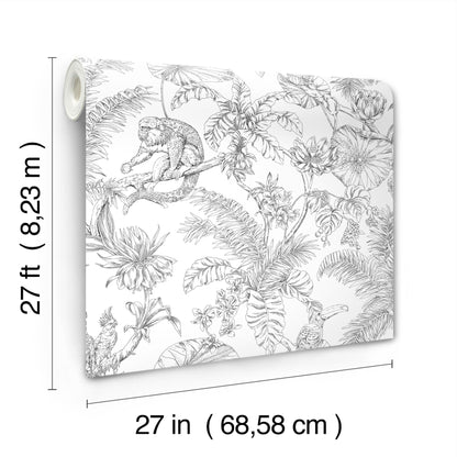 York Wallcoverings Toile Resource Library Tropical Sketch Toile Black Wallpaper Eclectic Toile Whites and Off-Whites   - RT7841