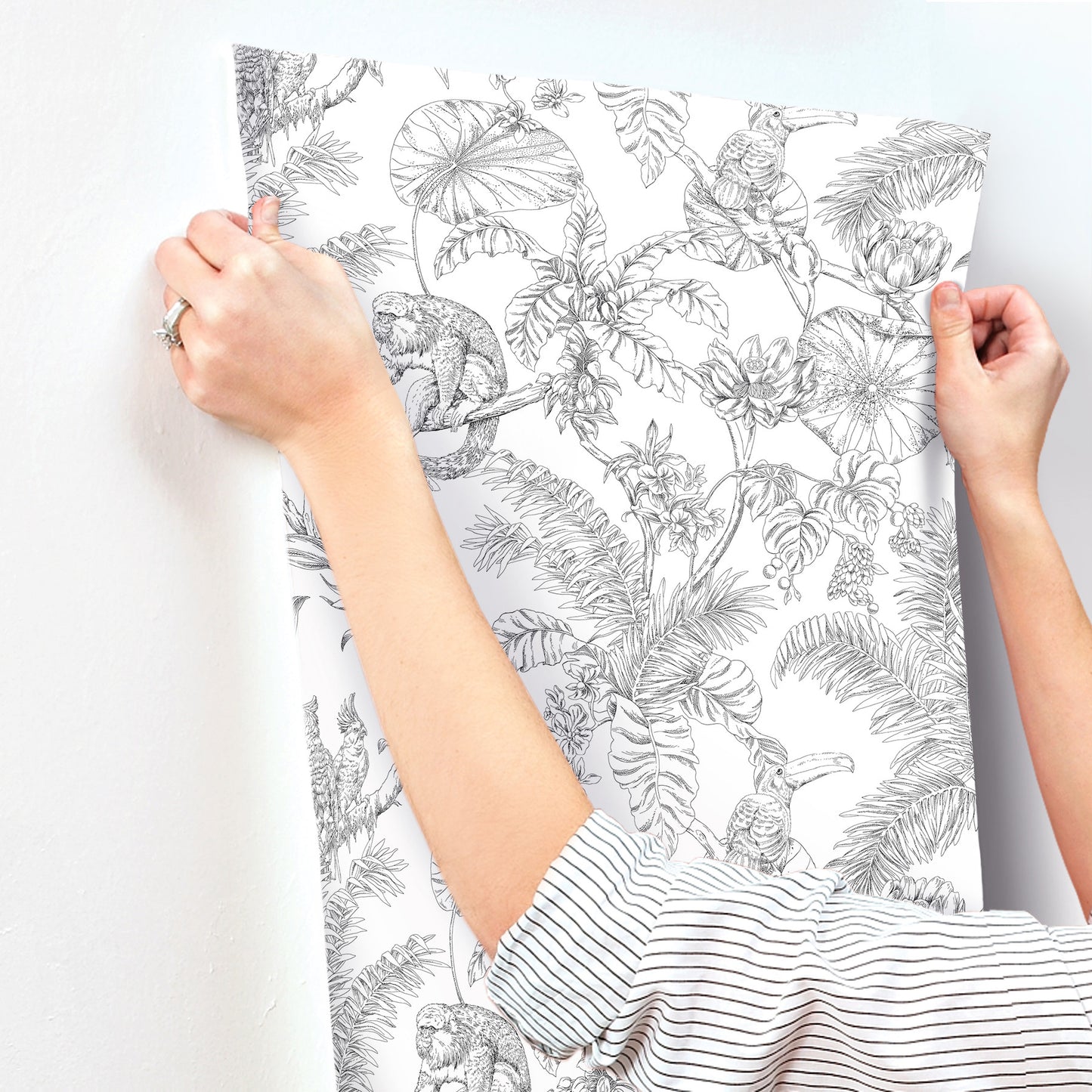 York Wallcoverings Toile Resource Library Tropical Sketch Toile Black Wallpaper Eclectic Toile Whites and Off-Whites   - RT7841