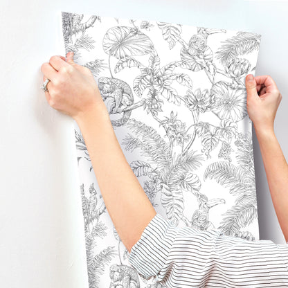 York Wallcoverings Toile Resource Library Tropical Sketch Toile Black Wallpaper Eclectic Toile Whites and Off-Whites   - RT7841