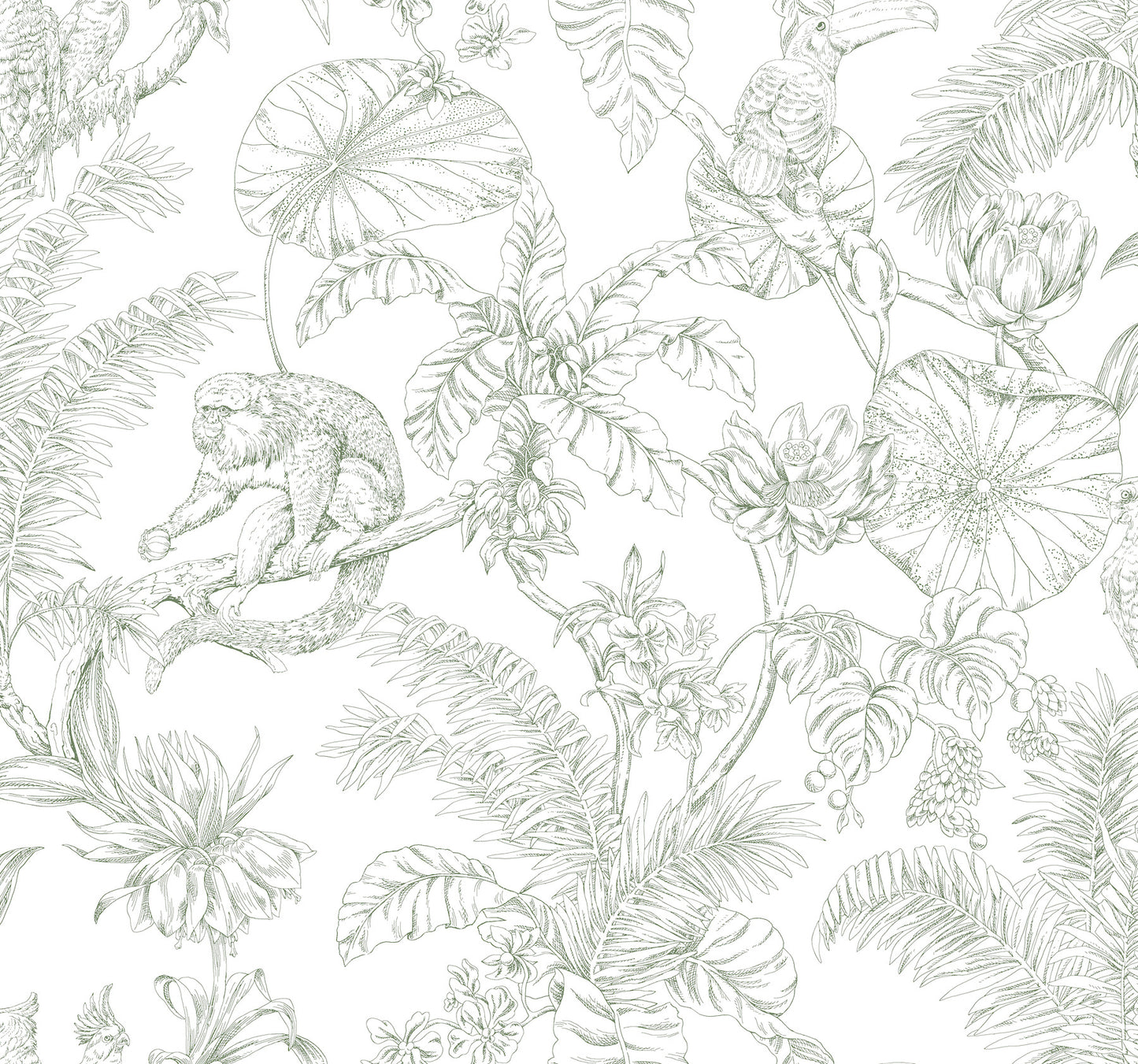York Wallcoverings Toile Resource Library Tropical Sketch Toile Forest Wallpaper Eclectic Toile Whites and Off-Whites   - RT7842