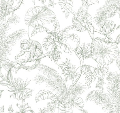 York Wallcoverings Toile Resource Library Tropical Sketch Toile Forest Wallpaper Eclectic Toile Whites and Off-Whites   - RT7842